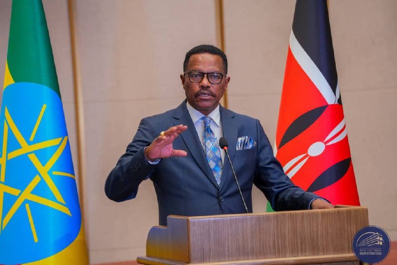 የኤርትራ ወታደራዊ አዛዦች የኢትዮጵያን ድንበር ጥሰው መግባታቸውን አምባሳደር ባጫ ደበሌ ገለጹ