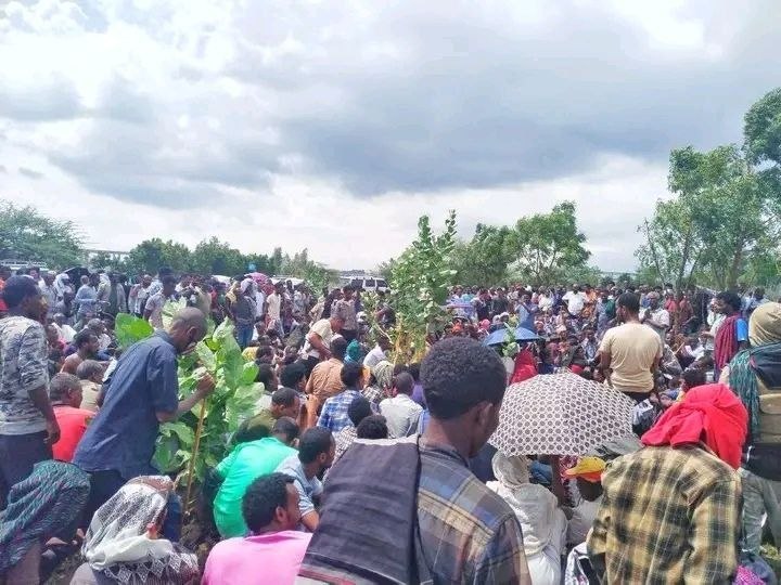ተፈናቃዮቹ ችግር ላይ ወድቀዋል‼️